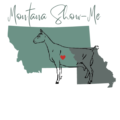 Montana Show-Me